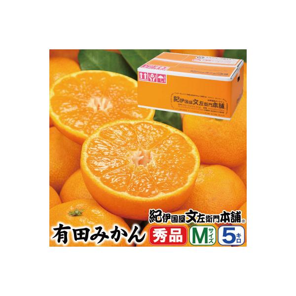 先行受付　ブランド有田みかん【M】秀品5kg/薄皮で甘い美味しいみかん/産地直送