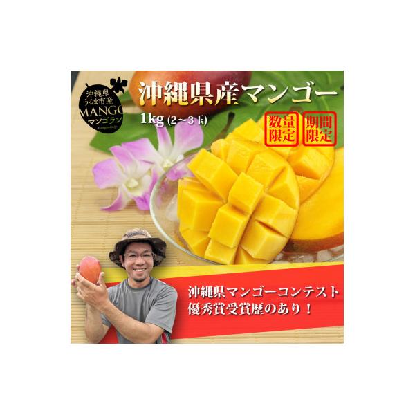 【農園直送】沖縄県うるま市産「おじーのマンゴー」1箱(2～3玉)約1kg