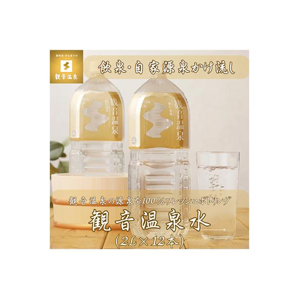 飲む温泉　観音温泉　2リットル(6本入)　2ケース