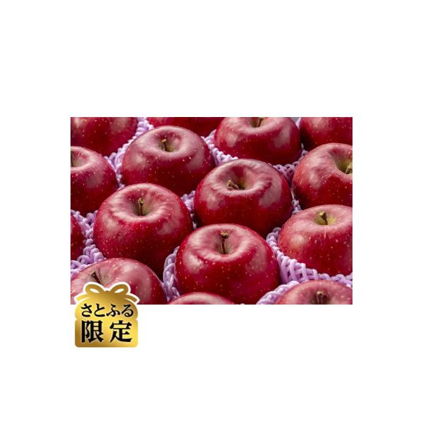 青森りんご　サンふじ　大玉　10kg【さとふる限定】