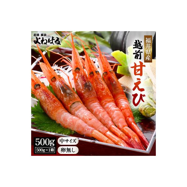 大好評!越前甘エビ【卵なし中サイズ】約35尾/1箱