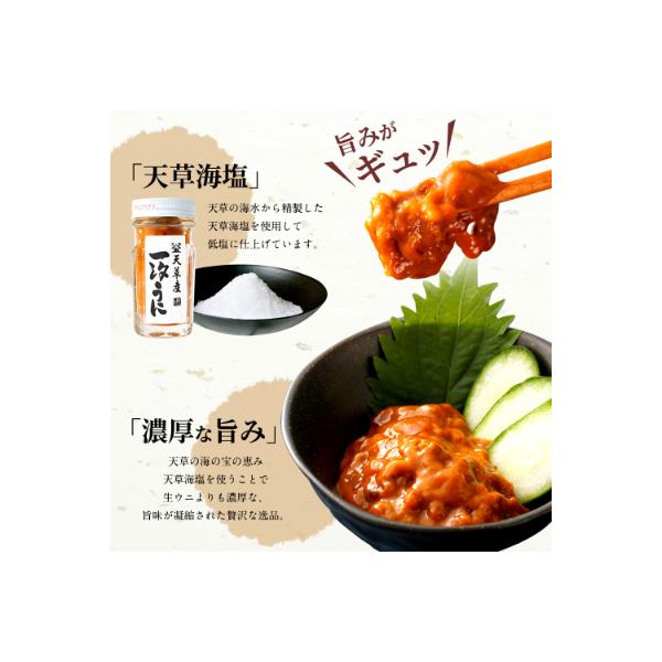 天草産ムラサキウニ(一汐低塩仕込み/60g)