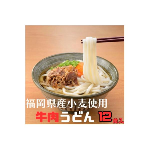 フジギク牛肉うどん　249g(12食入り)