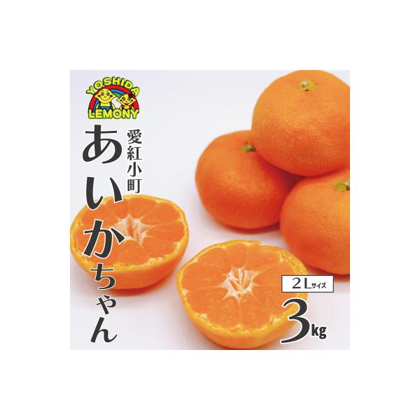 先行予約 みかん 愛紅小町 あいかちゃん 2Lサイズ 約3kg