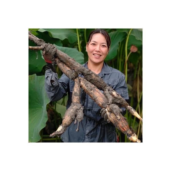 ■お礼品詳細　・提供元：自然派農場　しもかわ■お申し込み・配送・その他　・発送時期：2025-11-05〜2026-03-31(お届け時間帯指定可)　・申込受付期間：2025-11-01〜2026-03-25　・配達外のエリア：離島　・寄付...