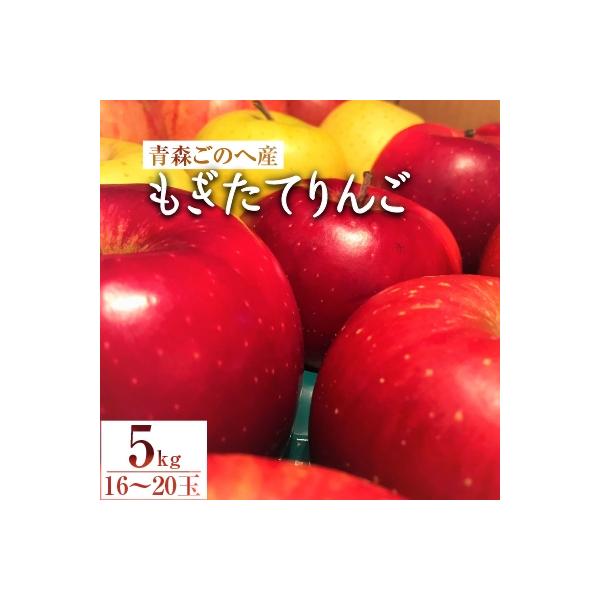 【青森ごのへ産】 もぎたてりんご 5kg(16～20玉)