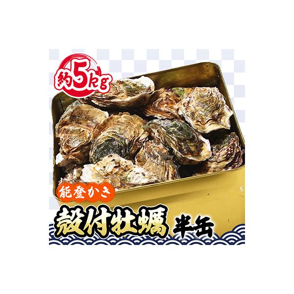 能登牡蠣 殻付牡蠣半缶/約5㎏(約40～50個)専用ナイフ、片手用軍手付　※加熱用