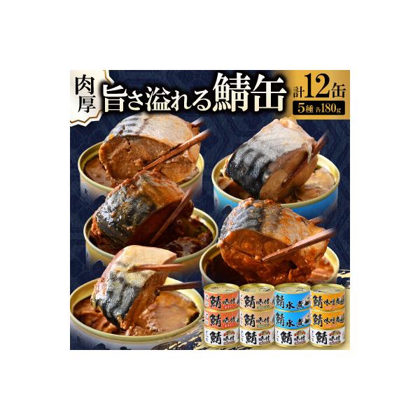 鯖缶詰12缶 A(醤油・唐辛子・生姜・味噌煮・水煮)こだわりも身もギュッと詰め込んだ贅沢さば缶