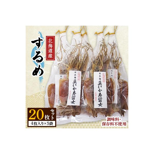 スルメ20枚セット