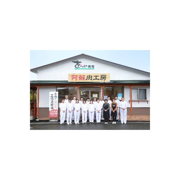 さとふる 上赤身の詰め合わせ約600g ふるさと納税 西原村 熊本馬刺し 馬肉 馬刺し 食品 ふるさと納税