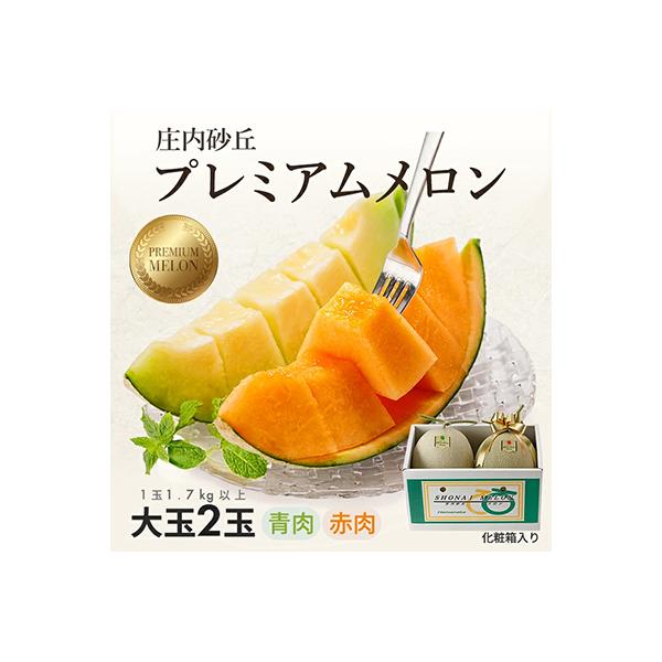 山形県庄内産　プレミアムメロン赤青2玉入