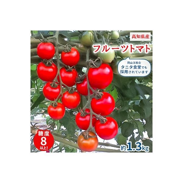 【高知県産】フルーツトマト約1.3kg　糖度8　岡山淳風会タニタ食堂に採用されています