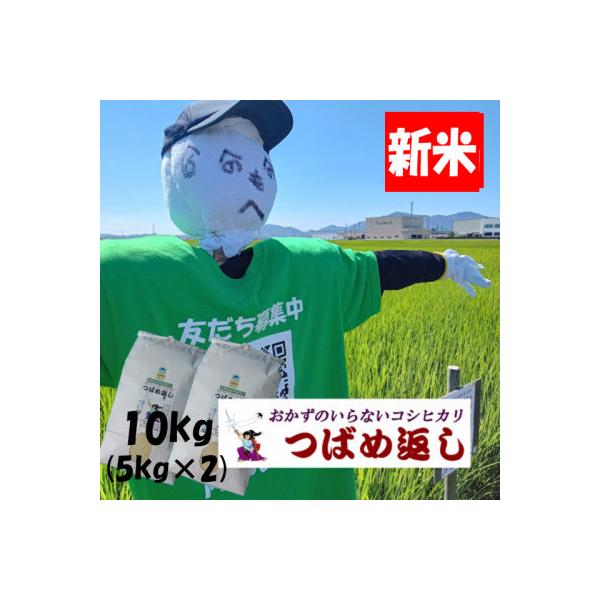 【8年産新米先行予約】おかずのいらないコシヒカリ「つばめ返し」白米10kg(5kg×2袋)