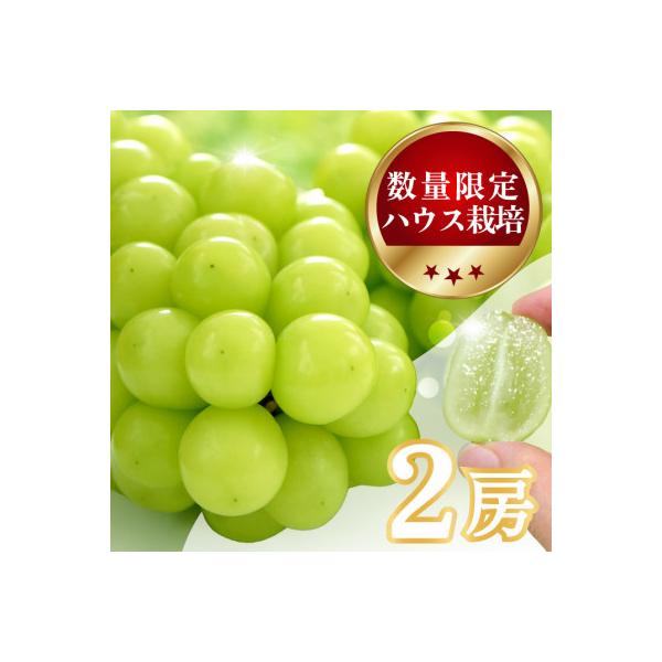 【数量限定】6月下旬～7月中旬発送ハウス栽培の『シャインマスカット』 2房　約1kg