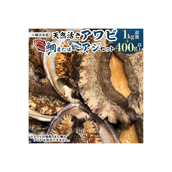竹中水産の大きめ入り1kg前後「天然活きアワビ(鯛もしくはアジとセット) 」【H22-220】