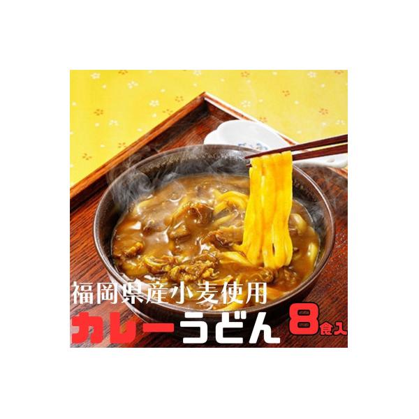 フジギクカレーうどん　287g(8食入り)