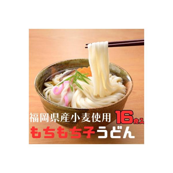 フジギクもちもち子うどん　228g(16食入り)