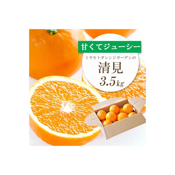 果汁たっぷり ジューシー清見3.5kg【D25-129】