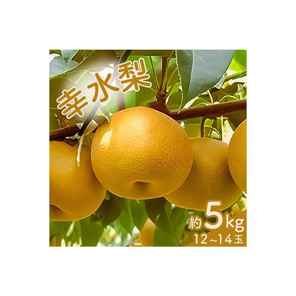 幸水梨　1箱(12個～14個)
