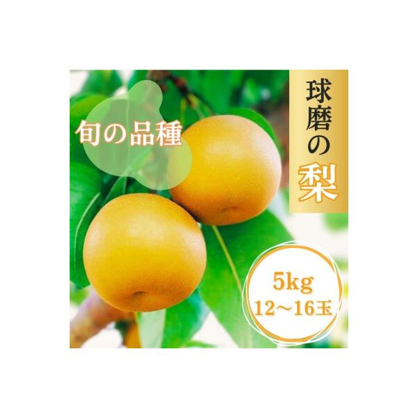 熊本県JAくま産　球磨の梨　5kg(12～16玉　旬な品種)