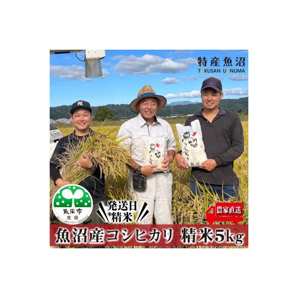 【令和7年産】農家直送 魚沼産コシヒカリ　精米5Kg 【特産魚沼】