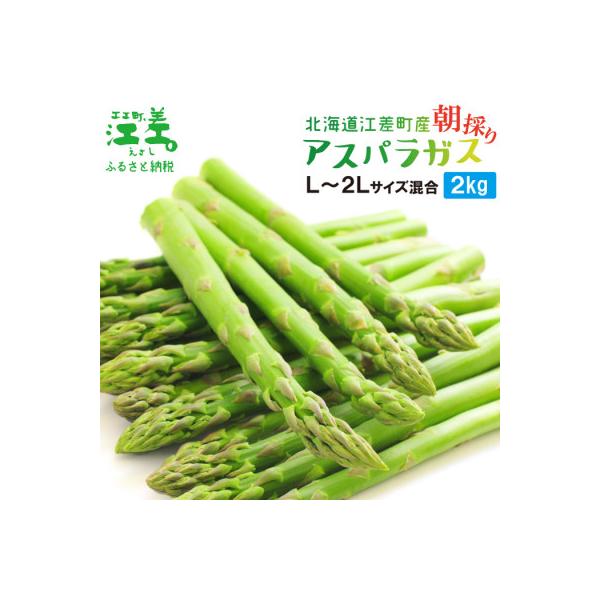 北海道江差町産 アスパラガス 2kg　L～2Lサイズ　朝採り農家直送
