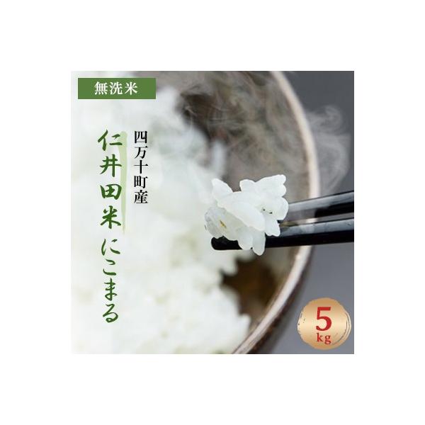 四万十町産 無洗米「にこまる」 5kg　罪悪感は必要ナシ!家事をサボってうまいお米を食べてください!
