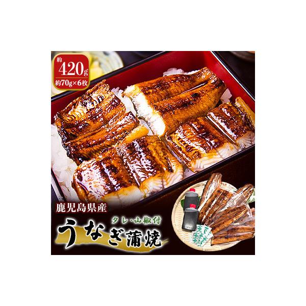 鹿児島県産　うなぎ蒲焼　約70g×6枚〔タレ・山椒付〕