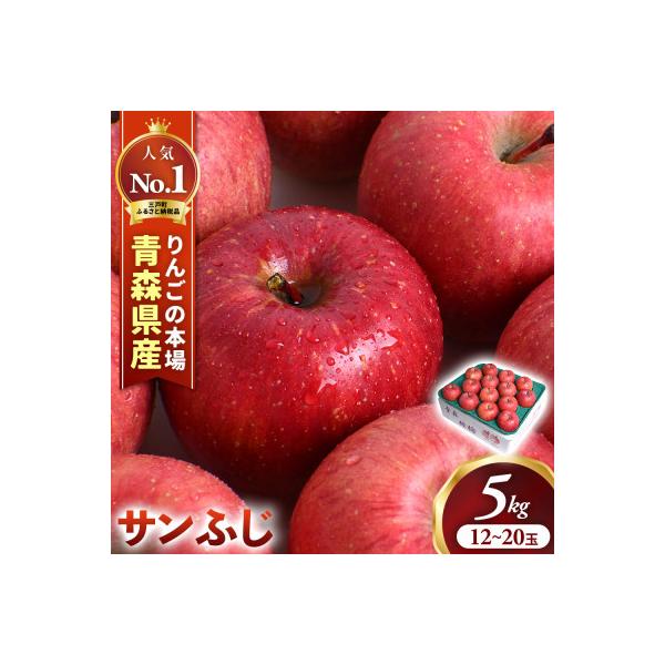 りんご「サンふじ」12～20玉(約5kg)【2026年産・先行予約】11月下旬～2月頃発送予定