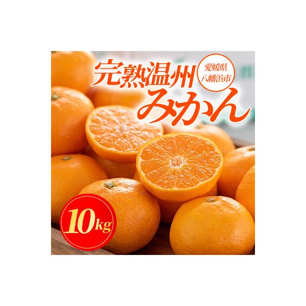 ふるさと納税 八幡浜市 コウ果樹園の「小玉みかん10kg」!“柑橘王国”愛媛県八幡浜の【完熟みかん】【C33-15】