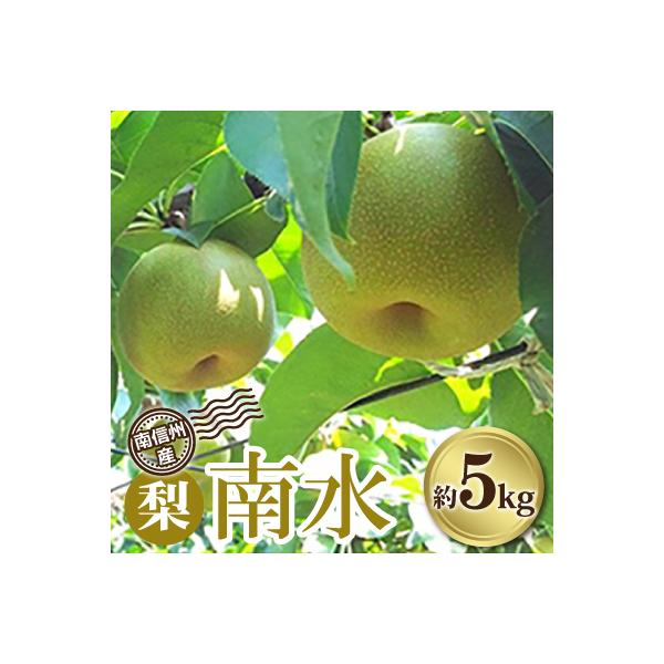 南信州産　梨「南水」約5kg　【2026年9月より順次発送】