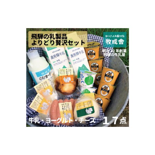 明治30年創業の牛乳屋「牧成舎」飛騨の贅沢乳製品セットC
