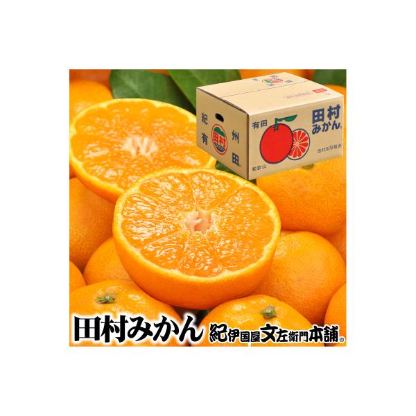 【先行受付】田村みかん【秀品5キロ】サイズおまかせ/湯浅町田村地区産/産地直送