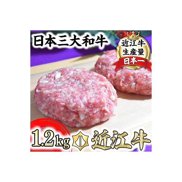 近江牛入(生)ハンバーグ(120gx10)
