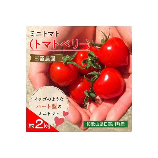 【2027年1月中旬以降発送】ハート型ミニトマト トマトベリー 約2kg