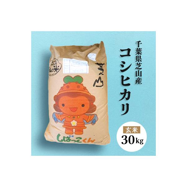 【令和7年産】芝山町産コシヒカリ30kg(玄米)