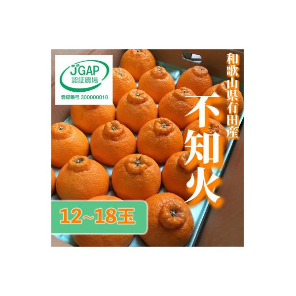【2027年2月より順次発送】和歌山産　不知火 5kg　秀品　(12玉～18玉)