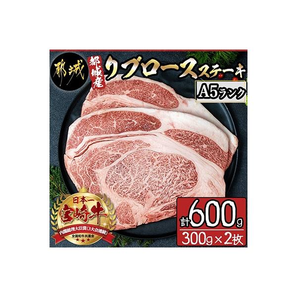 《宮崎牛 A5》【宮崎県 都城市産】リブロースステーキ (300g×2枚)