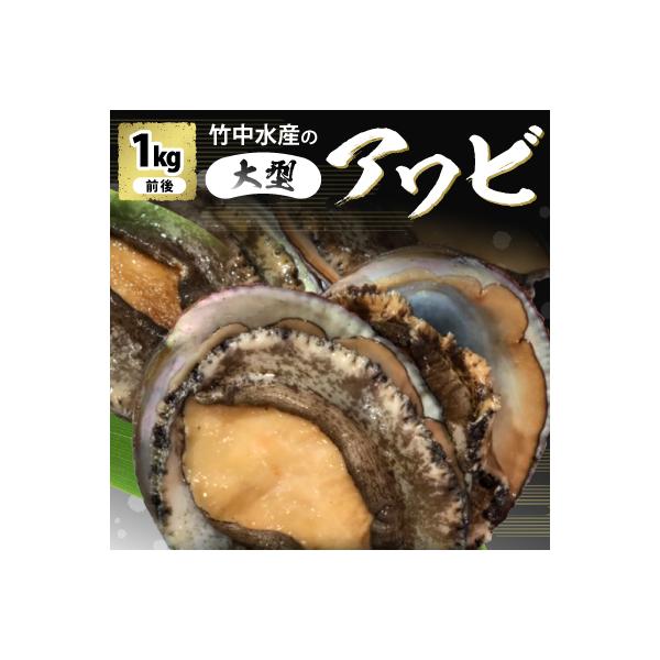 竹中水産の嗜好の大型アワビ(1㎏前後)!【H22-227】