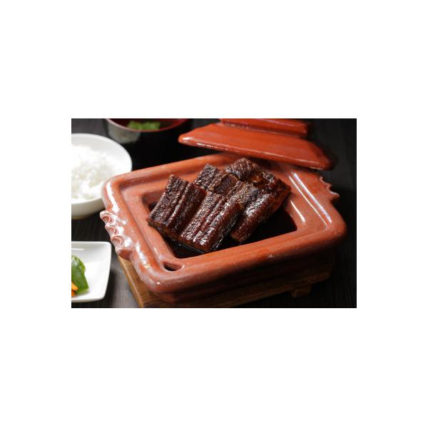 諫早市 ふるさと納税 お礼品詳細 食品 ふるさと納税 うなぎ蒲焼切身5パック入 さとふる