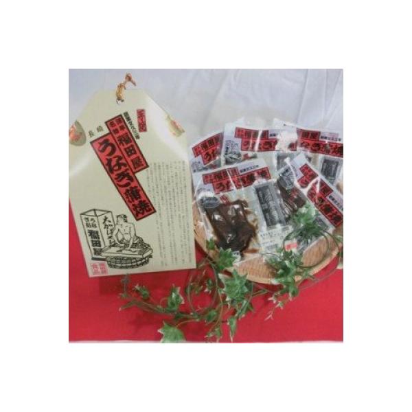 諫早市 ふるさと納税 お礼品詳細 食品 ふるさと納税 うなぎ蒲焼切身5パック入 さとふる