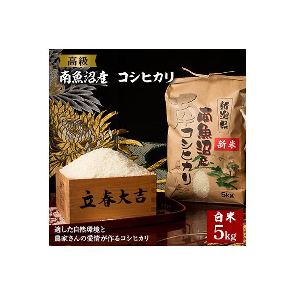 【令和7年産 】【高級】南魚沼産こしひかり5kg(白米)