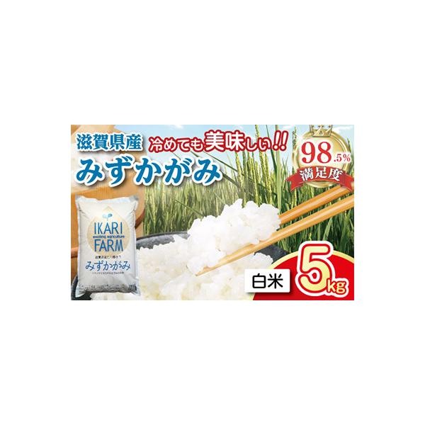 【8年産】冷めても美味しいあっさりとした味わい「みずかがみ」白米【5kg】