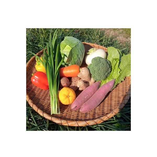 【産地直送新鮮野菜】　高知県産　南国土佐の季節の野菜詰め合せセット【野菜セット】