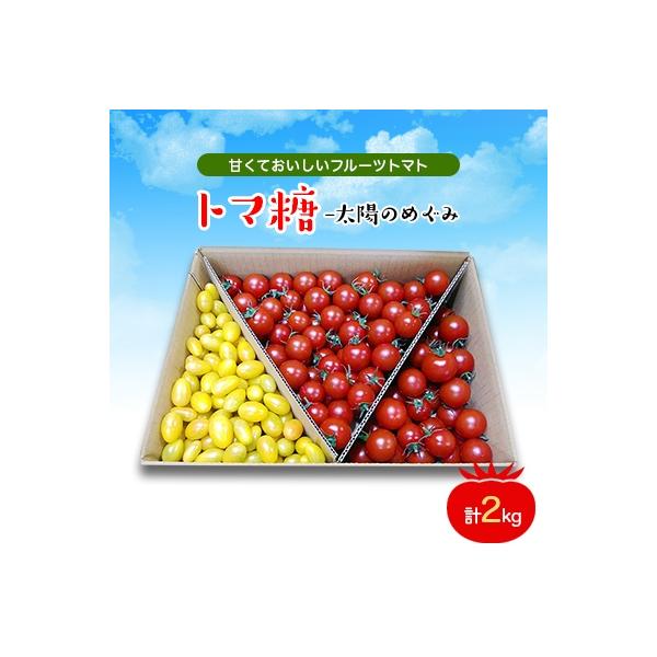 食べ出したら止まらない・おいしい甘いフルーツトマト2kg(フルティカ1.5kg、ティポ0.5kg)