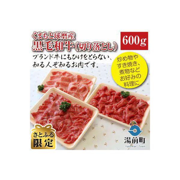 くまもと球磨産　黒毛和牛(切り落とし　600g)