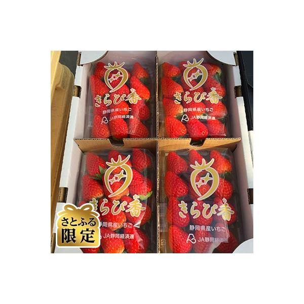 【2026年12月から順次発送　先行受付いちごの里BGのきらぴ香約260g×4パック【さとふる限定】