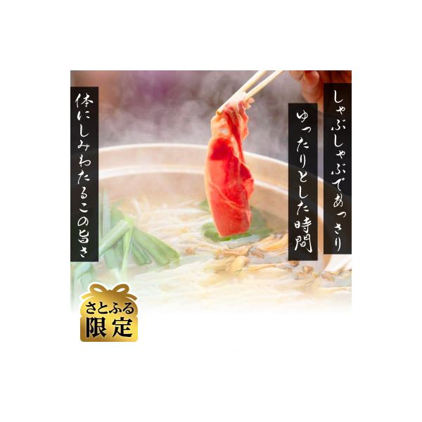【さとふる限定】北海道民おすすめラムスライス&ラムしゃぶ 大容量セットタレ590g×2本