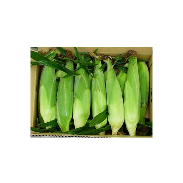 ■お礼品詳細　・配送方法：クール便（冷蔵）　・提供元：かめハウス■お申し込み・配送・その他　・発送時期：2026/7/20〜2026/8/10(お届け時間帯指定可)　・申込受付期間：〜2026-06-30　・配達外のエリア：離島、沖縄県　・...