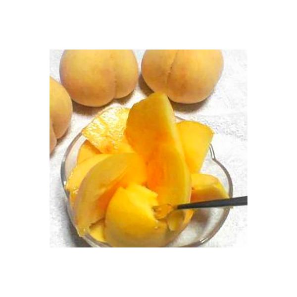 ■お礼品詳細　・配送種別：通常　・提供元：ＪＡ南アルプス市■お申し込み・配送・その他　・発送時期：2026-07-22〜2026-08-05(お届け時間帯指定可)　・申込受付期間：〜2026-06-30　・配達外のエリア：離島　・寄付証明書...